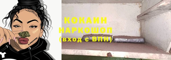 твердый Козловка
