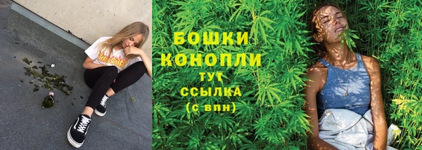 твердый Козловка