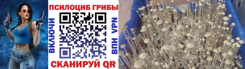 Галлюциногенные грибы ЛСД  Новый Оскол 